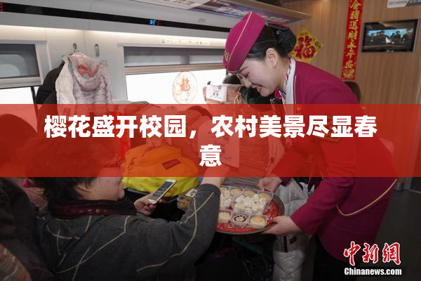 樱花盛开校园，农村美景尽显春意