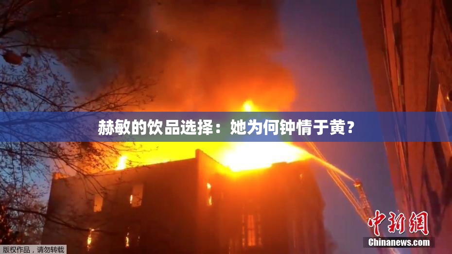 赫敏的饮品选择：她为何钟情于黄？