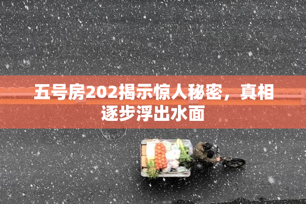 五号房202揭示惊人秘密，真相逐步浮出水面