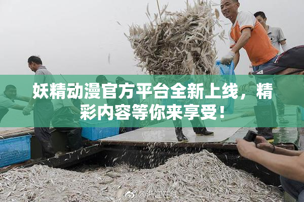 妖精动漫官方平台全新上线，精彩内容等你来享受！