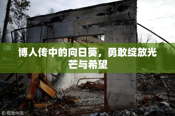博人传中的向日葵，勇敢绽放光芒与希望