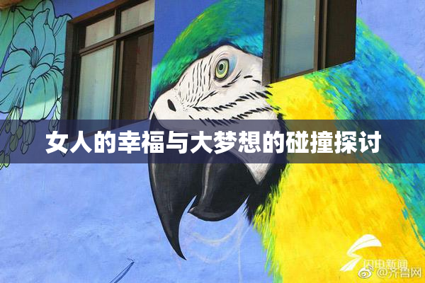 女人的幸福与大梦想的碰撞探讨