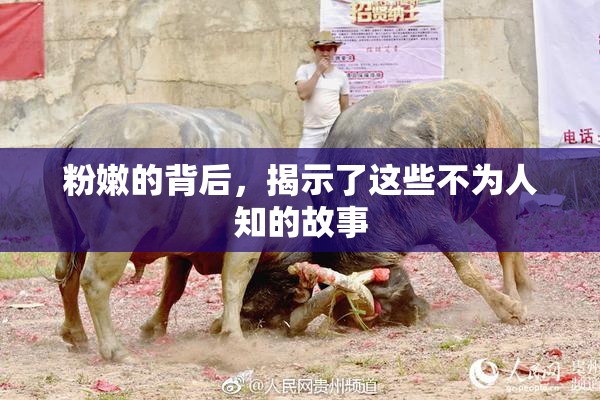 粉嫩的背后，揭示了这些不为人知的故事