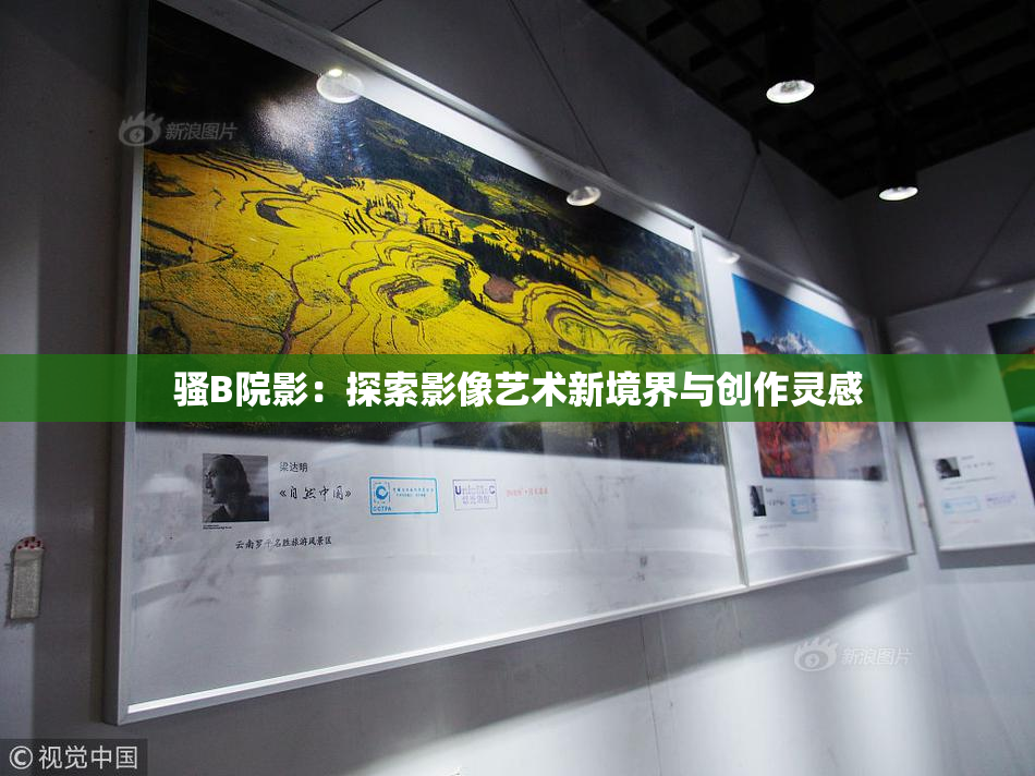骚B院影：探索影像艺术新境界与创作灵感