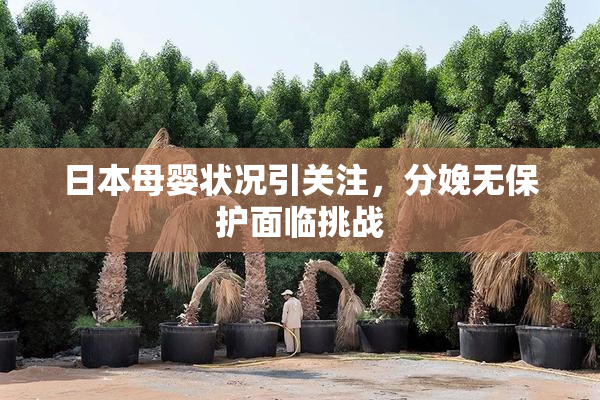 日本母婴状况引关注，分娩无保护面临挑战