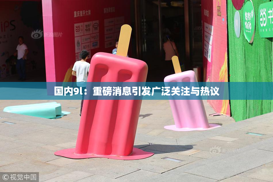 国内9l：重磅消息引发广泛关注与热议