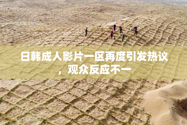 日韩成人影片一区再度引发热议，观众反应不一