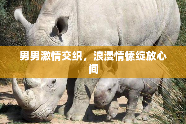 男男激情交织，浪漫情愫绽放心间