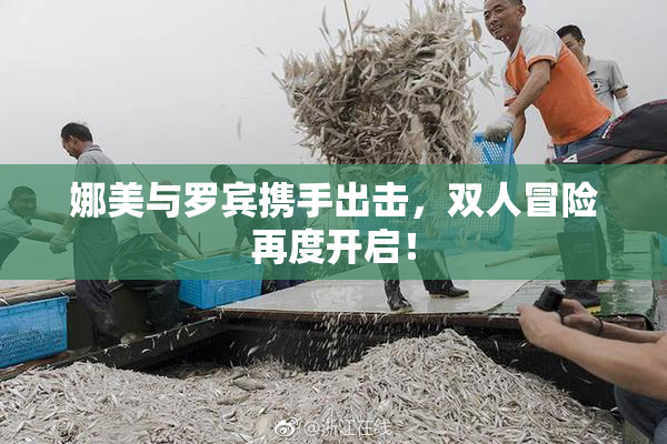 娜美与罗宾携手出击，双人冒险再度开启！