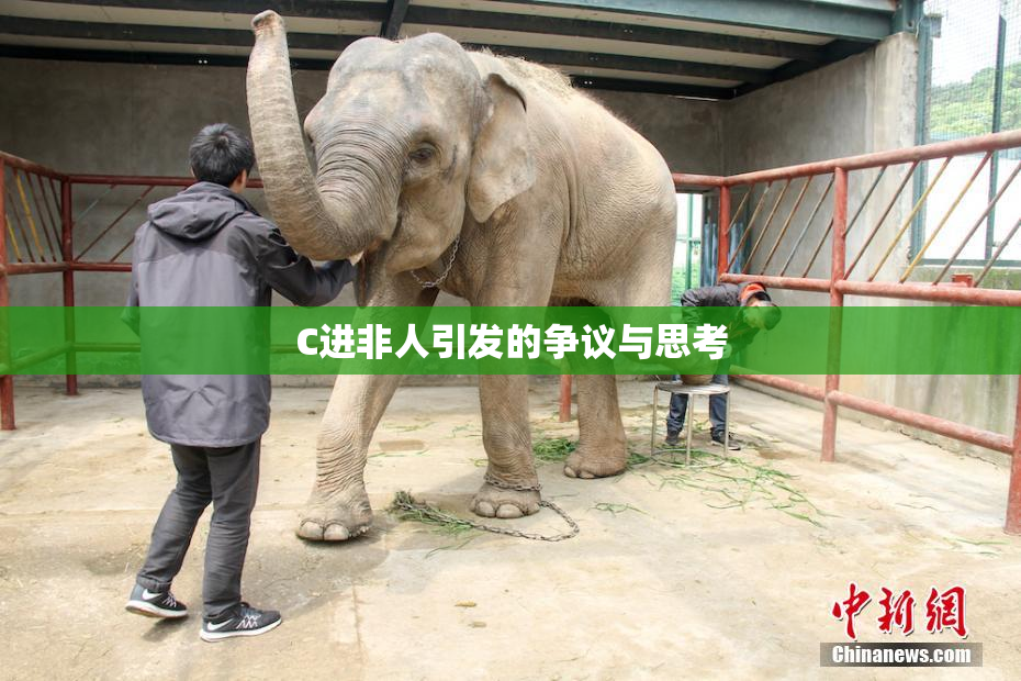 C进非人引发的争议与思考