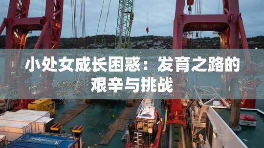 小处女成长困惑：发育之路的艰辛与挑战