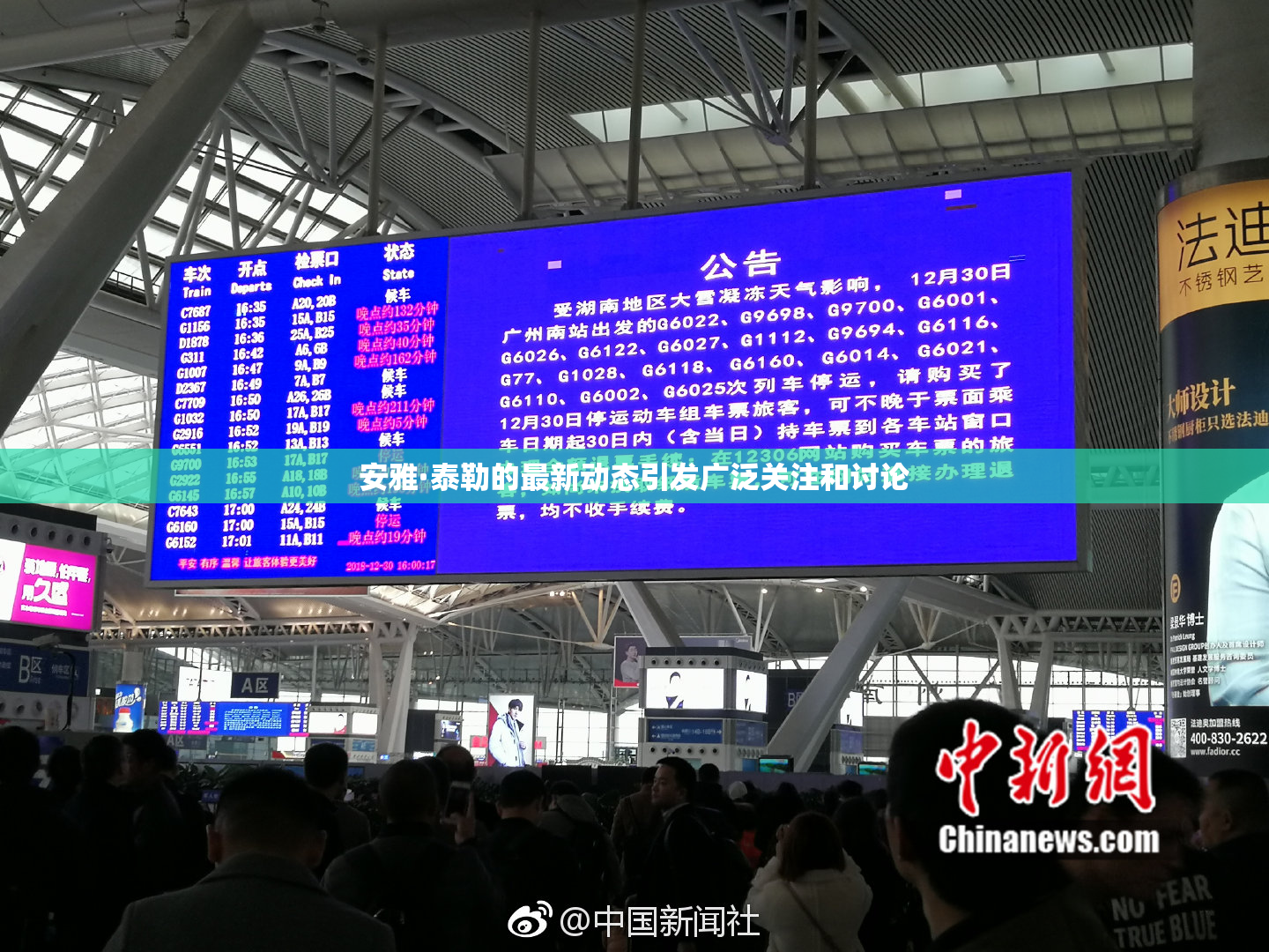 安雅·泰勒的最新动态引发广泛关注和讨论
