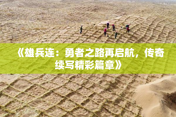 《雄兵连：勇者之路再启航，传奇续写精彩篇章》