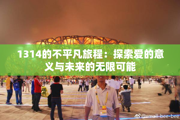 1314的不平凡旅程：探索爱的意义与未来的无限可能