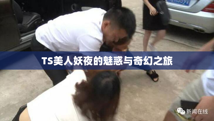 TS美人妖夜的魅惑与奇幻之旅
