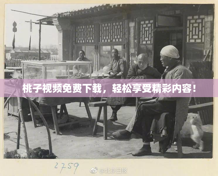 桃子视频免费下载，轻松享受精彩内容！