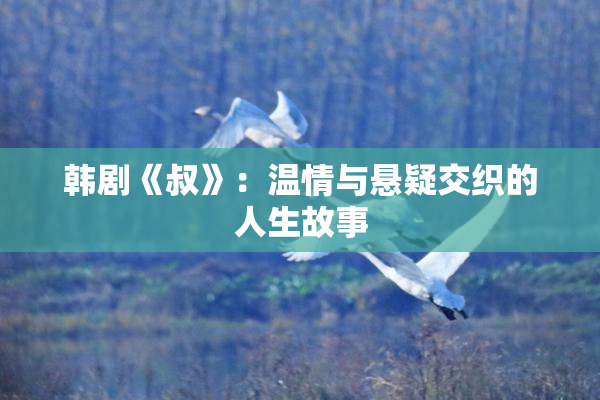韩剧《叔》：温情与悬疑交织的人生故事
