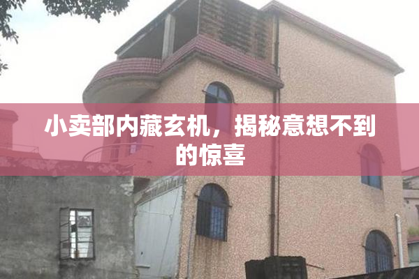 小卖部内藏玄机，揭秘意想不到的惊喜