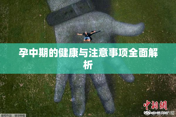 孕中期的健康与注意事项全面解析