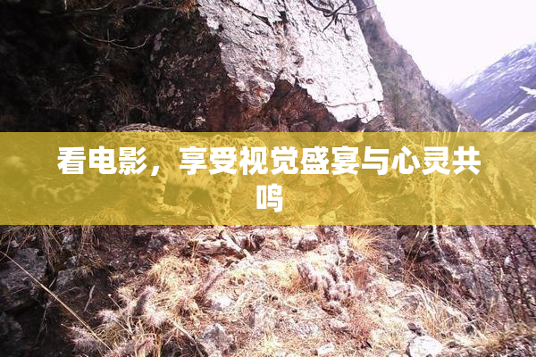 看电影，享受视觉盛宴与心灵共鸣