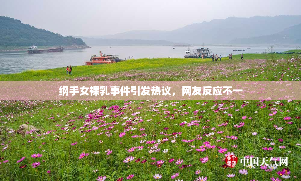 纲手女裸乳事件引发热议，网友反应不一