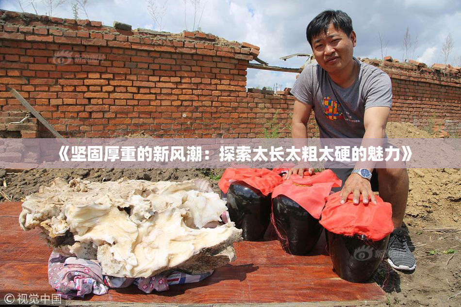 《坚固厚重的新风潮：探索太长太粗太硬的魅力》