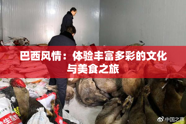 巴西风情：体验丰富多彩的文化与美食之旅