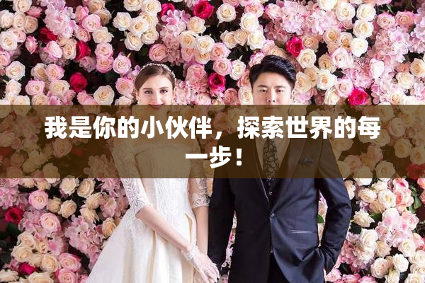 我是你的小伙伴，探索世界的每一步！