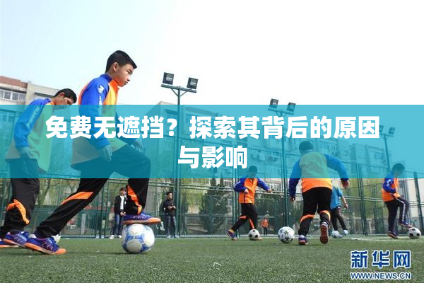 免费无遮挡？探索其背后的原因与影响