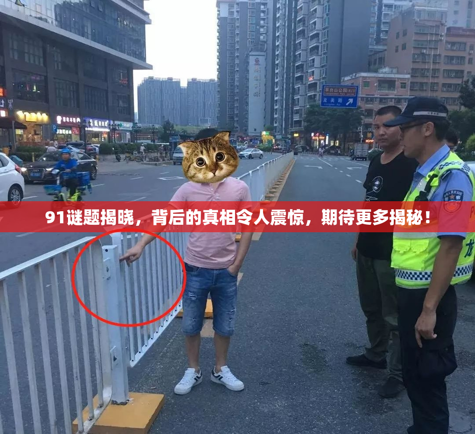 91谜题揭晓，背后的真相令人震惊，期待更多揭秘！