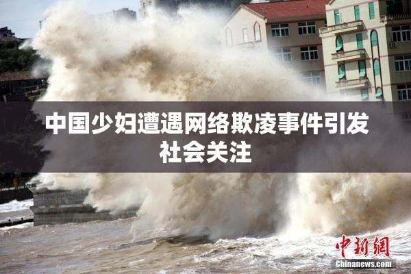 中国少妇遭遇网络欺凌事件引发社会关注