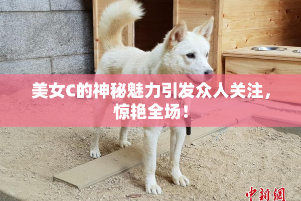 美女C的神秘魅力引发众人关注，惊艳全场！