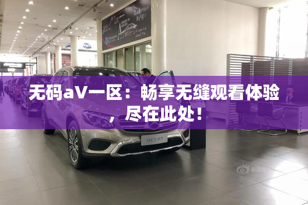 无码aV一区：畅享无缝观看体验，尽在此处！