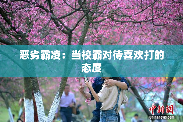 恶劣霸凌：当校霸对待喜欢打的态度
