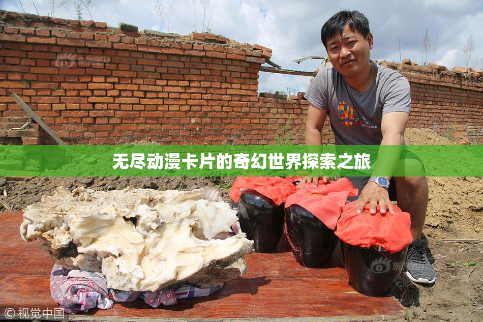 无尽动漫卡片的奇幻世界探索之旅