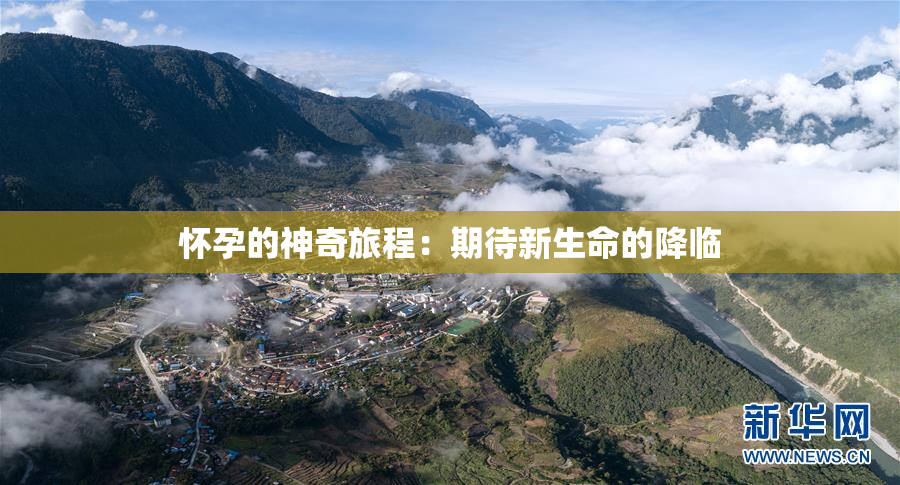 怀孕的神奇旅程：期待新生命的降临