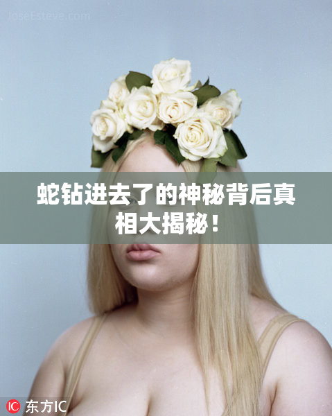 蛇钻进去了的神秘背后真相大揭秘！