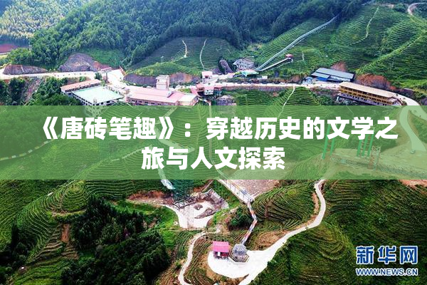 《唐砖笔趣》：穿越历史的文学之旅与人文探索