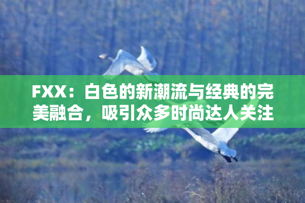FXX：白色的新潮流与经典的完美融合，吸引众多时尚达人关注