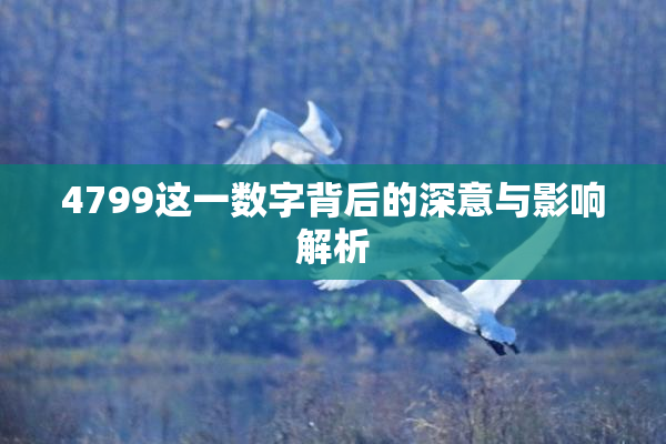 4799这一数字背后的深意与影响解析