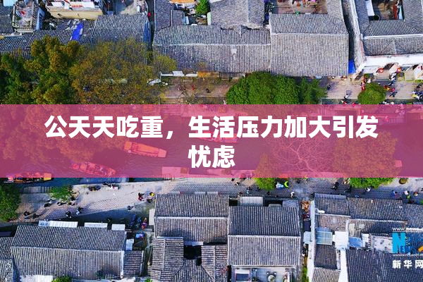 公天天吃重，生活压力加大引发忧虑