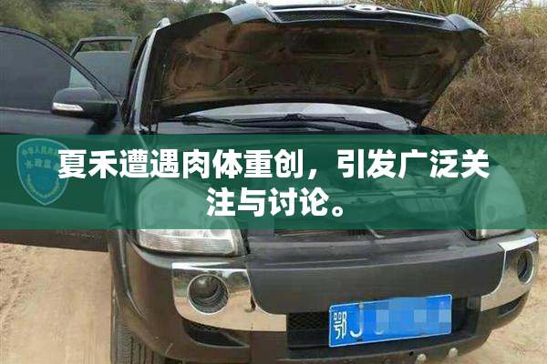 夏禾遭遇肉体重创，引发广泛关注与讨论。