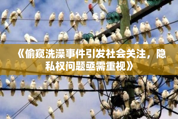 《偷窥洗澡事件引发社会关注，隐私权问题亟需重视》