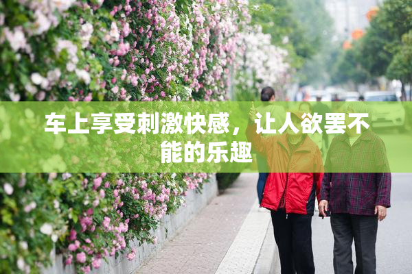 车上享受刺激快感，让人欲罢不能的乐趣