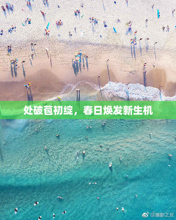 处破苞初绽，春日焕发新生机