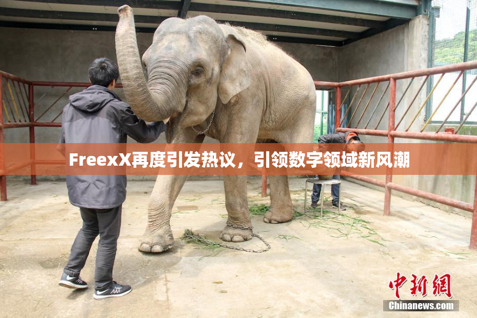 FreexX再度引发热议，引领数字领域新风潮