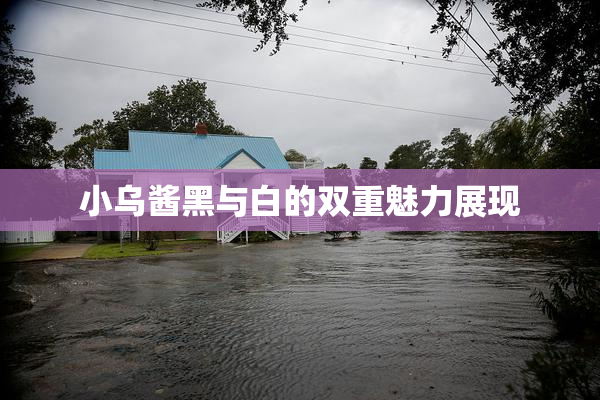 小乌酱黑与白的双重魅力展现