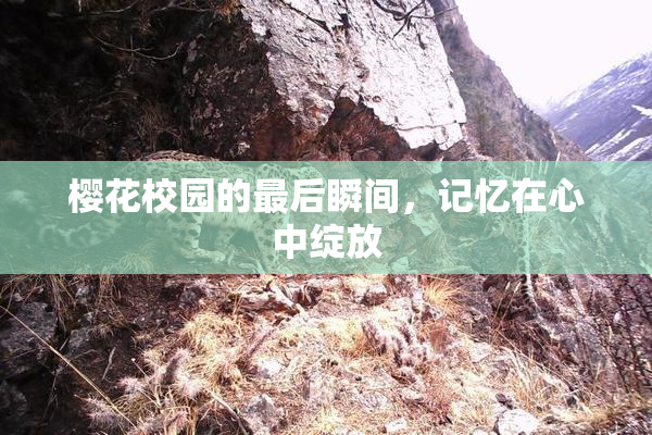 樱花校园的最后瞬间，记忆在心中绽放