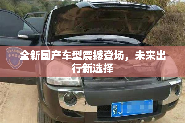 全新国产车型震撼登场，未来出行新选择