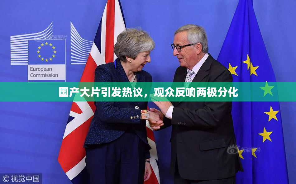 国产大片引发热议，观众反响两极分化